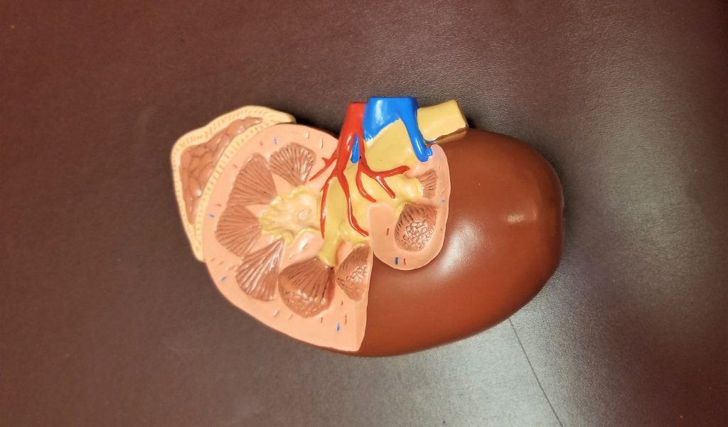 Dolor en el riñón
