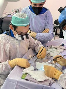 Médicos trabajando en endoprótesis